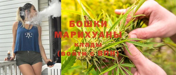 PSILOCYBIN Абаза