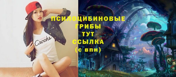 PSILOCYBIN Абаза