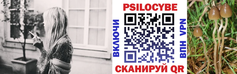 Псилоцибиновые грибы Psilocybine cubensis  Анадырь 